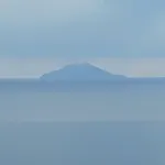Simo
